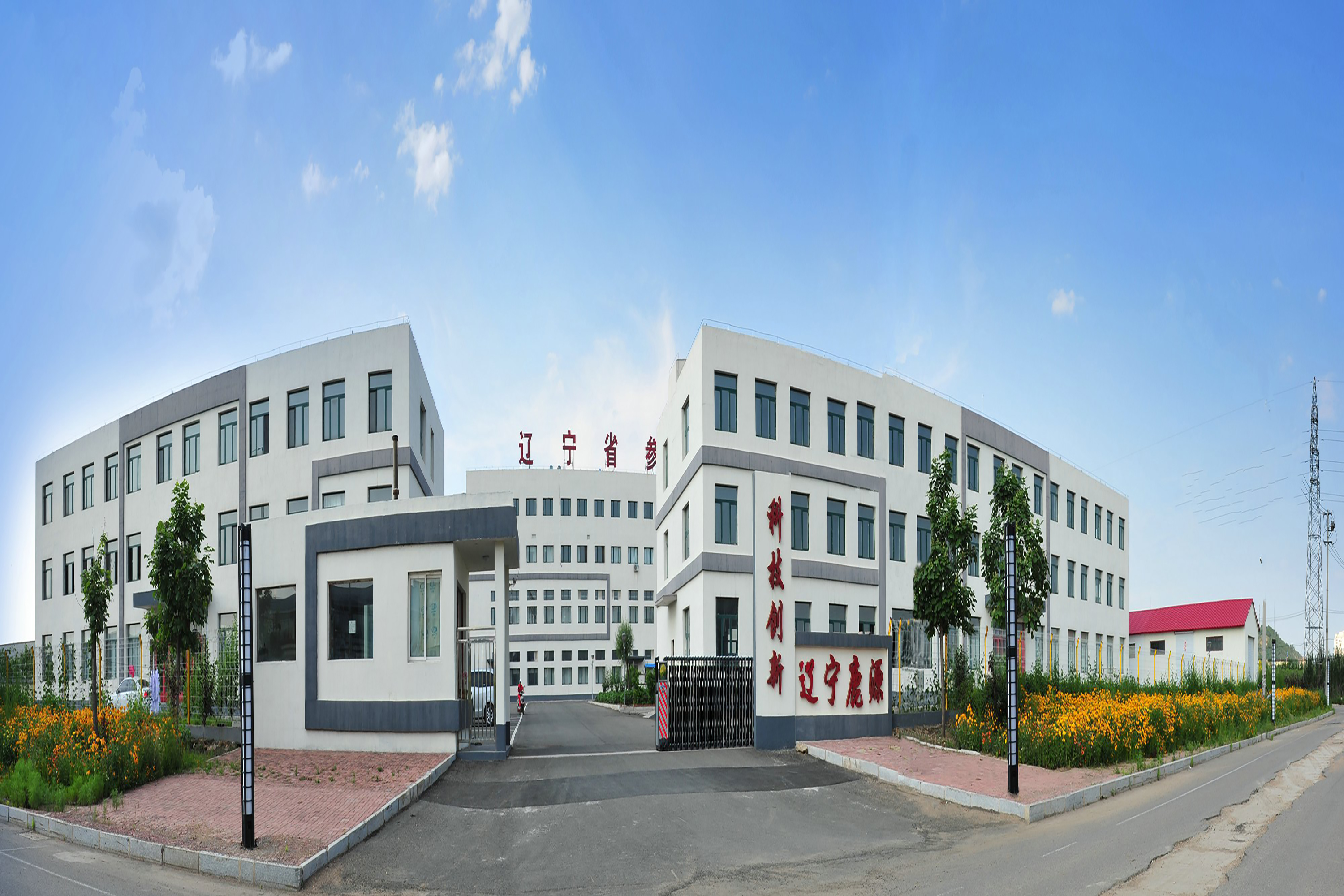 辽宁鹿源参茸饮片有限公司 Liaoning LY Deer Ginseng Pills Corporation Ltd